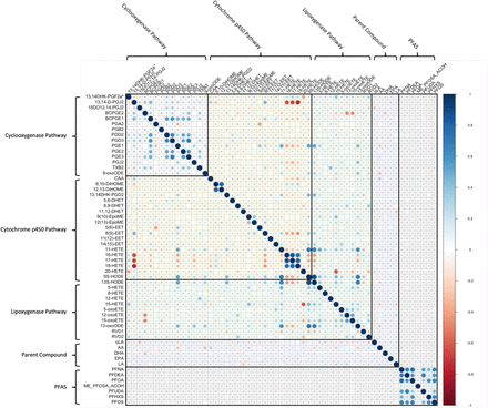 Figure 2B.