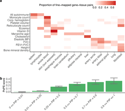 Figure 4: