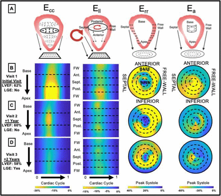 Figure 3: