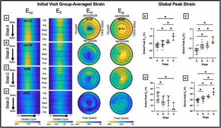 Figure 4: