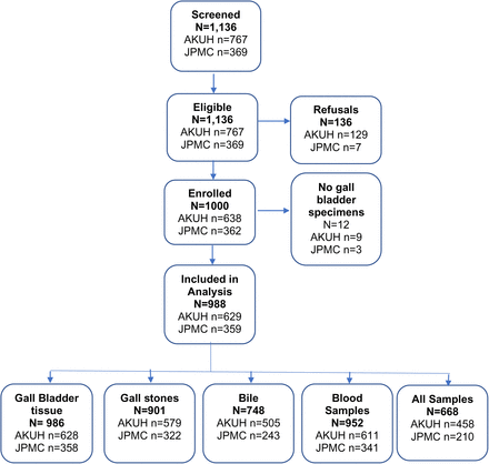 Fig 1.