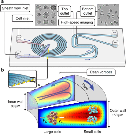 Extended Data Fig. 6: