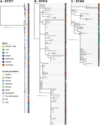 Figure 5.