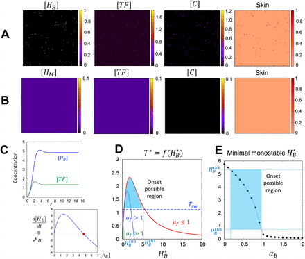 Figure 2: