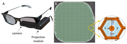 Figure 1: