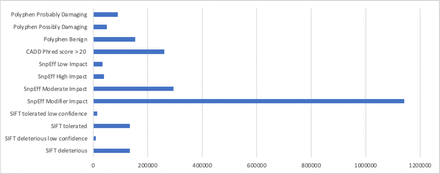 Figure 4B.