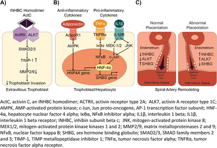 Fig. 3.