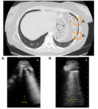 Figure 3: