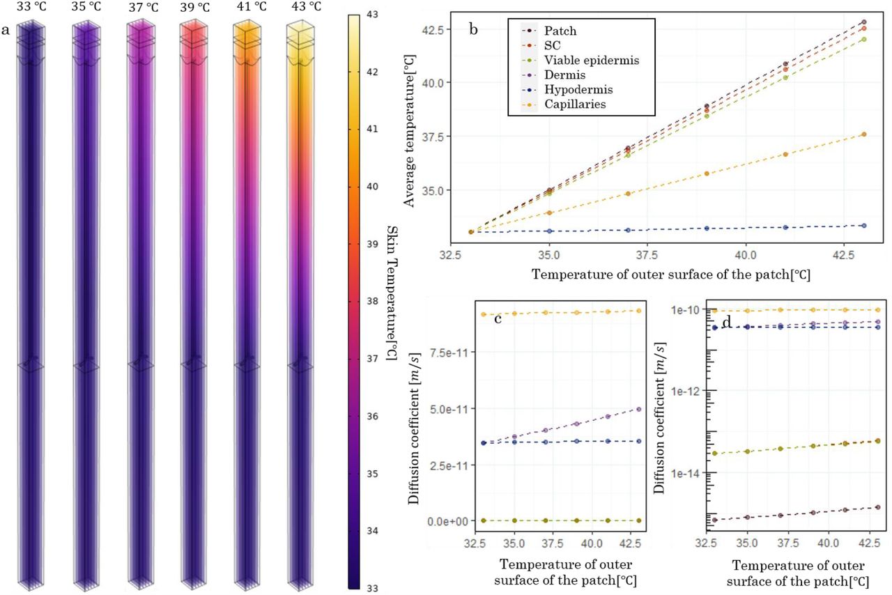 Predicting transdermal fentanyl delivery using mechanistic simulations for  tailored therapy