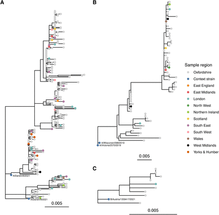 Figure 4.