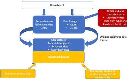 Figure 1: