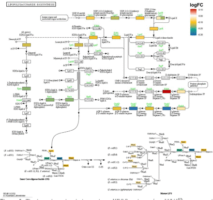 Figure 5: