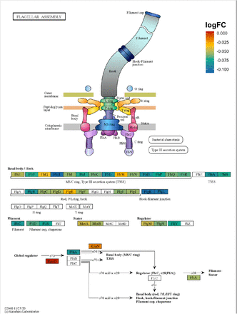 Figure S4: