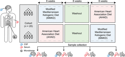 Figure 1: