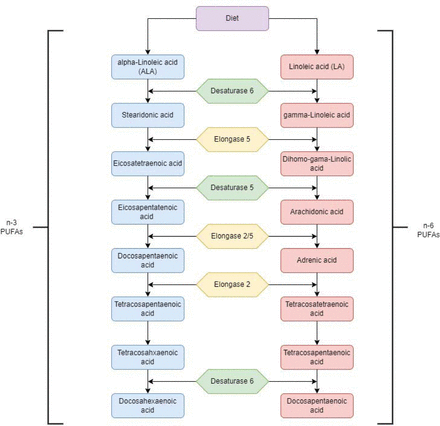 Figure 1: