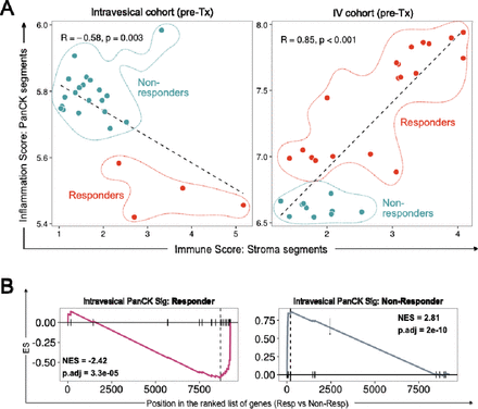 Figure 5: