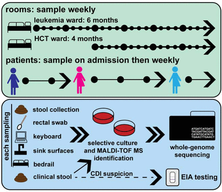 Figure 1: