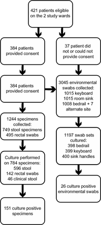 Supplementary Figure 1: