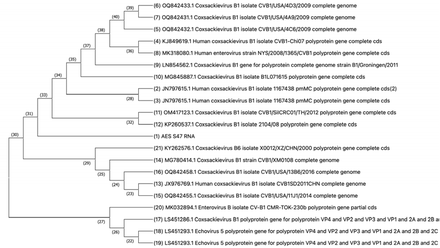 Figure 4: