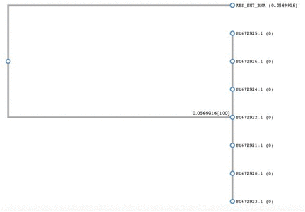 Figure 5: