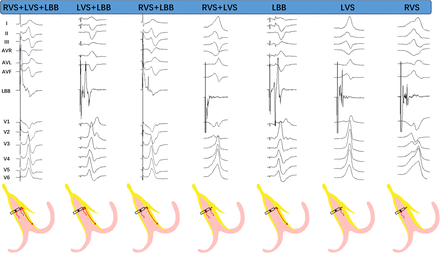 SUPPLEMENTARY FIGURE 1