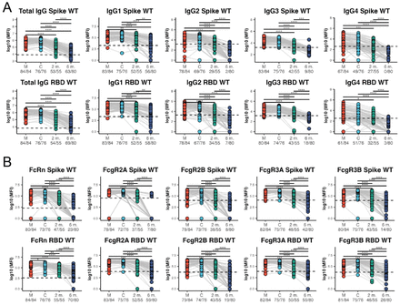 COVID-19–Associated Hospitalizations Among U.S. Infants Aged 6 Months —  COVID-NET, 13 States, June 2021–August 2022