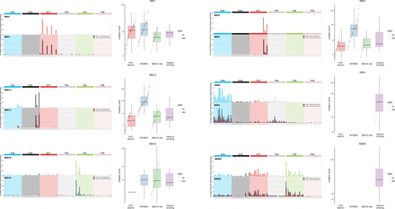 Figure 4: