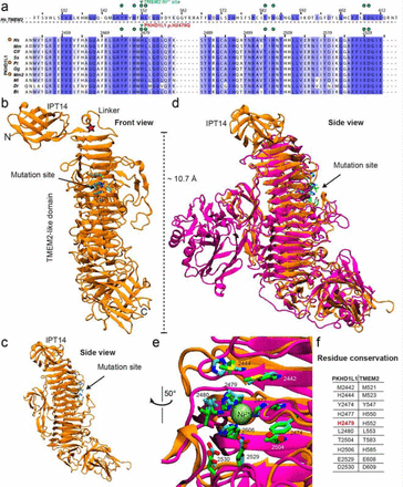 Fig. 4.