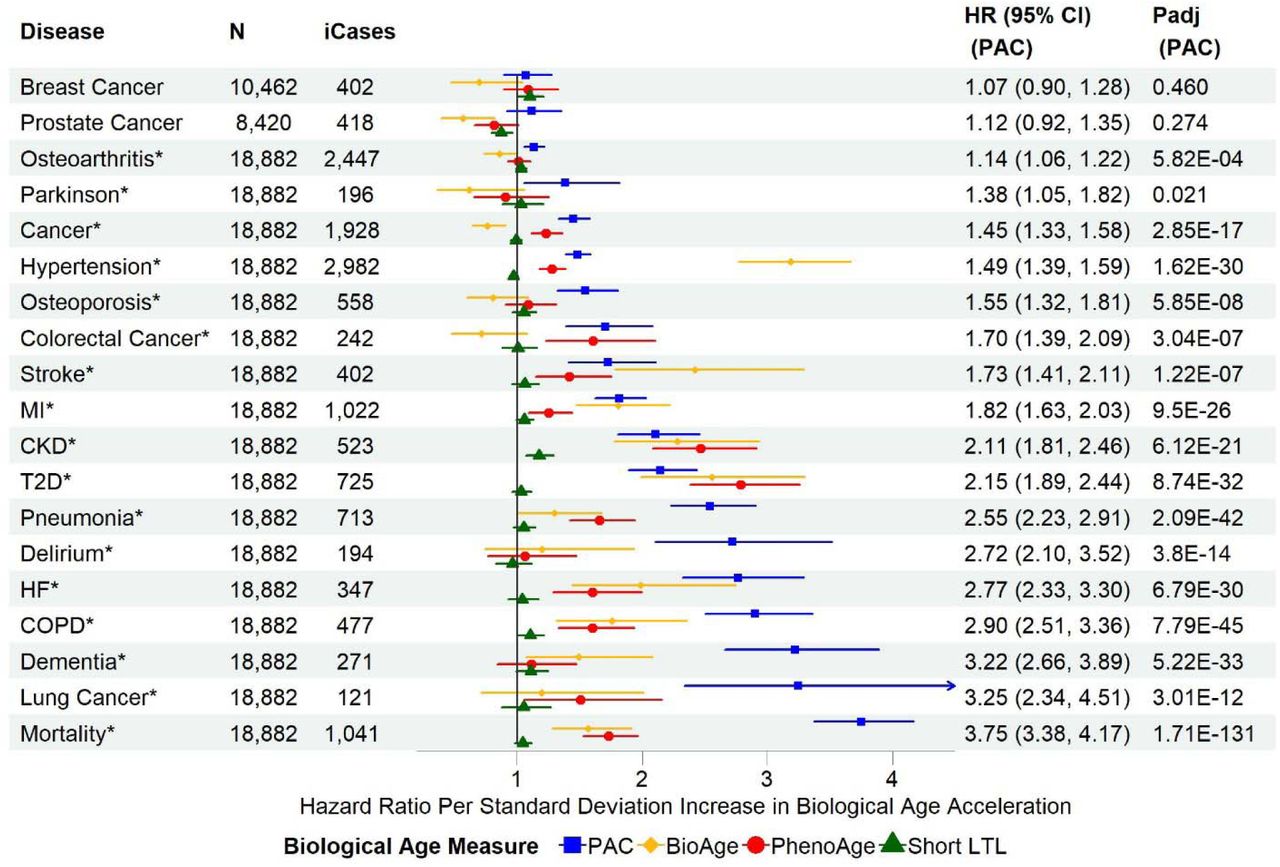 Diseases, Free Full-Text