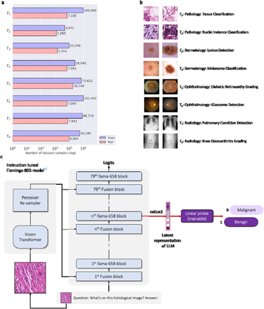 Figure 2: