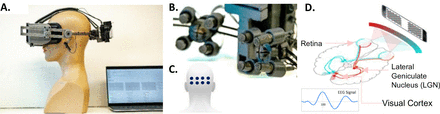 Figure 1.