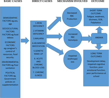 Figure 1: