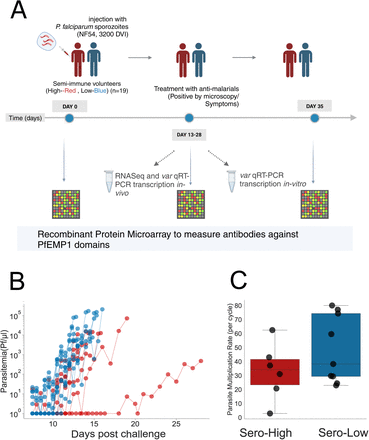 Figure 1: