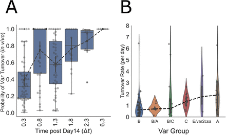 Figure 4: