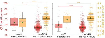 Fig. 3: