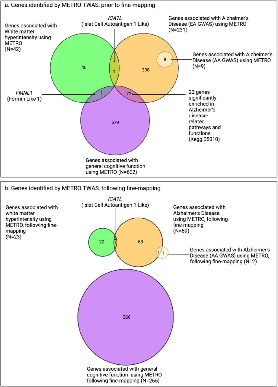 Multi ancestry transcriptome wide association studies of cognitive