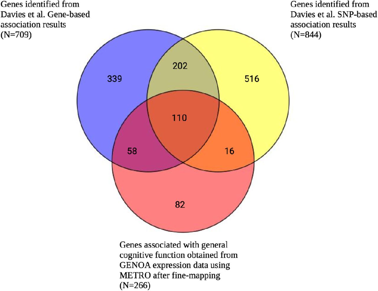 Multi ancestry transcriptome wide association studies of cognitive