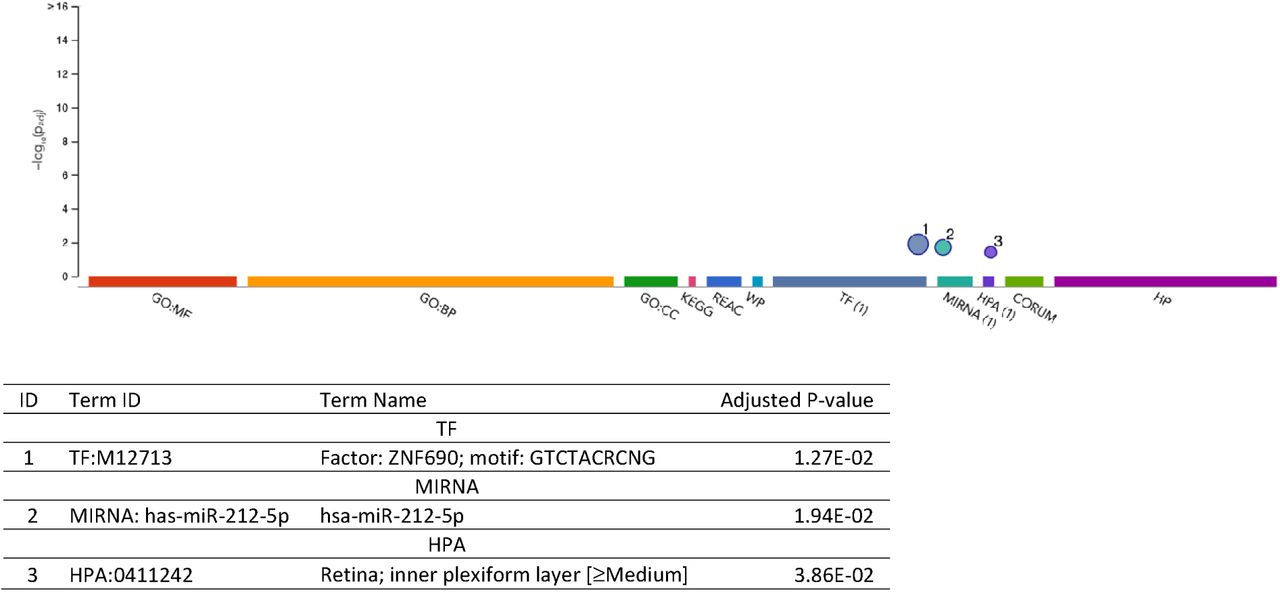 Multi ancestry transcriptome wide association studies of cognitive