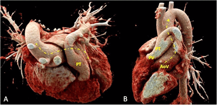 Figure 4: