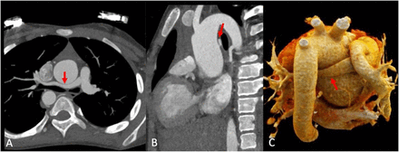 Figure 5: