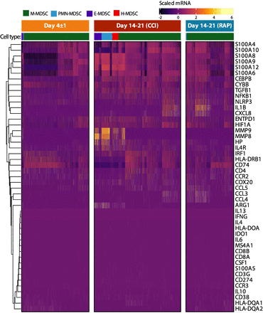 Figure 10.