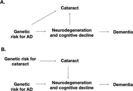 Fig 1.