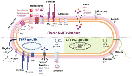 Figure 4.