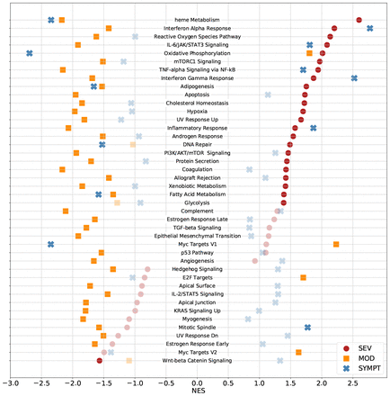 Figure 3: