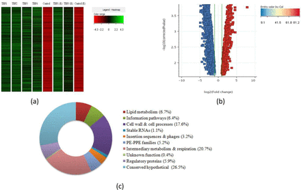 Figure 2: