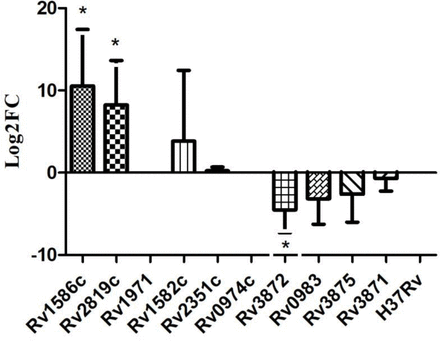 Figure 3: