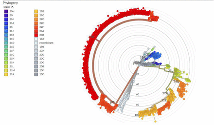 Figure 1: