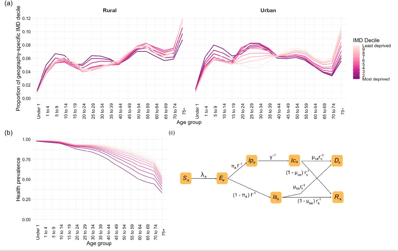 COVID-19 inequalities in England: a mathematical modelling study of  transmission risk and clinical vulnerability by socioeconomic status