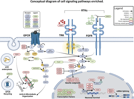 Figure 4: