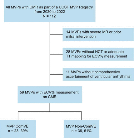 FIGURE 1: